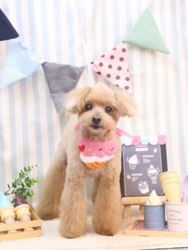 20250521チップくん